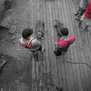 Meet your Posher, Joseph